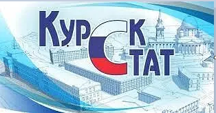 Сколько новых организаций в Курской области.
